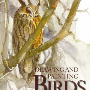 Drawing and Painting Birds