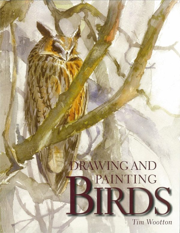 Drawing and Painting Birds