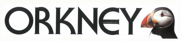 Window Sticker - Orkney Puffin