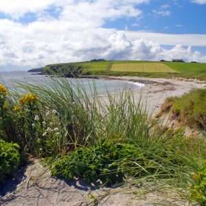 Orkney Card - Dingieshowe Beach