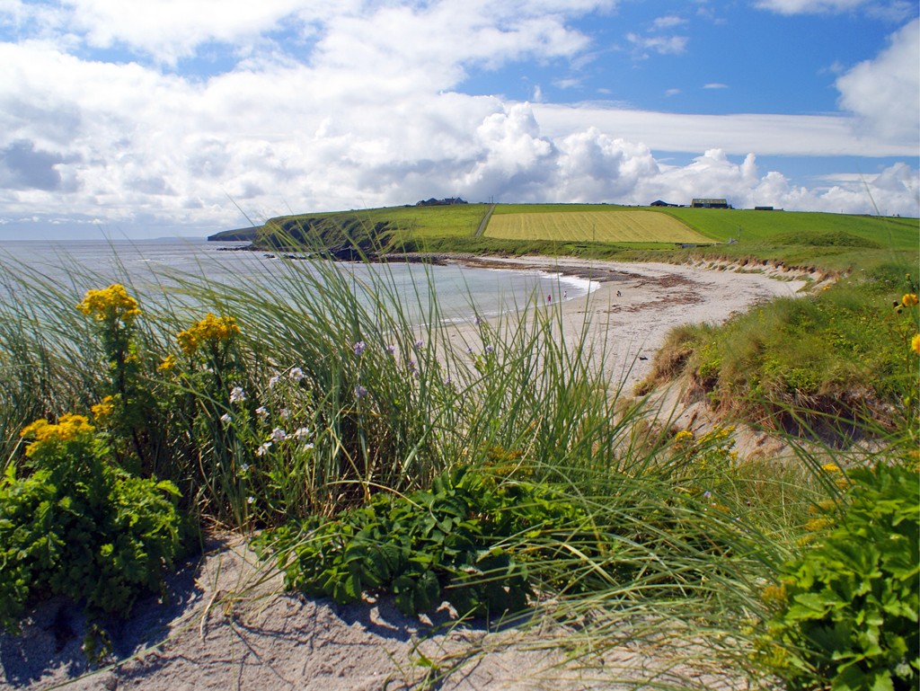 Orkney Card - Dingieshowe Beach