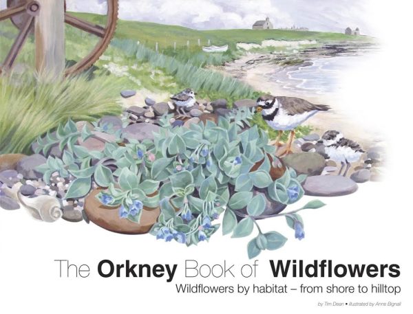 The Orkney Book of Wildflowers