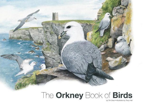 Orkney Book of Birds