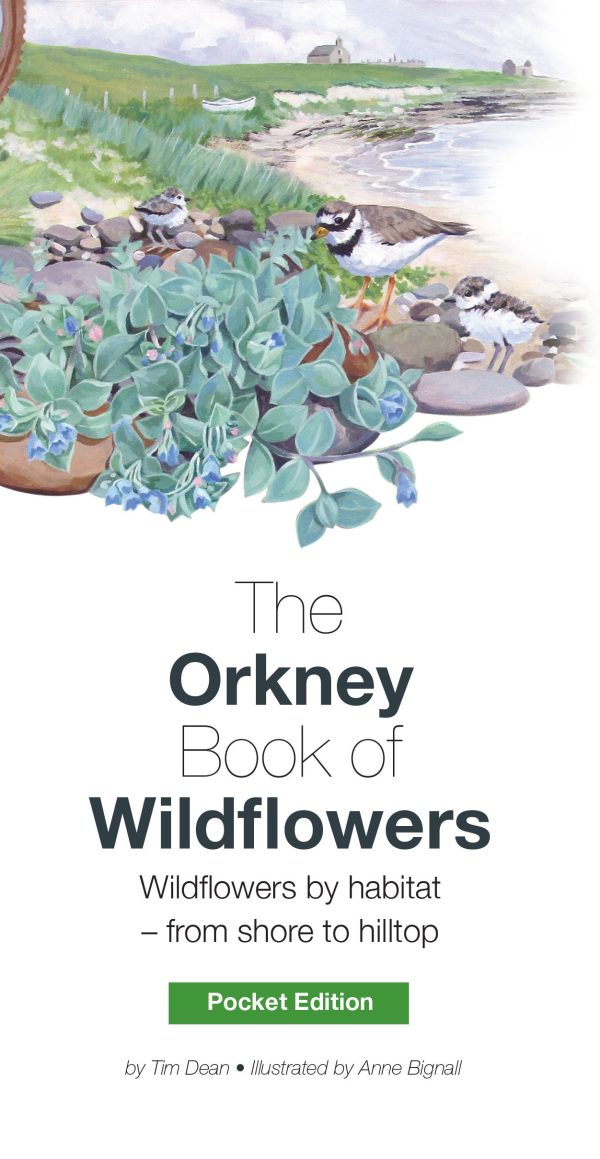 The Orkney Book of Wildflowers