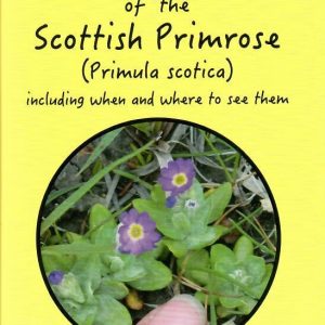 The Orkney Pocket Book of Scottish Primrose (Primula Scotica)
