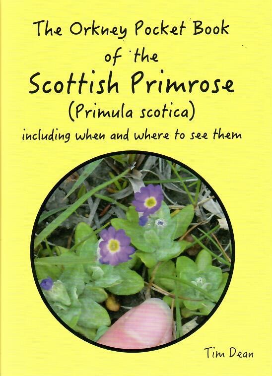 The Orkney Pocket Book of Scottish Primrose (Primula Scotica)