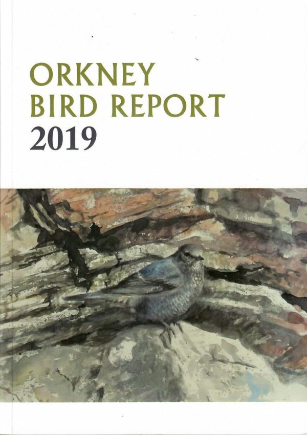 Orkney Bird Report 2019