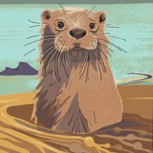 Nature Notebook - Otter