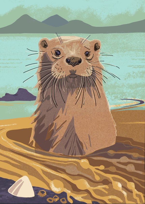 Nature Notebook - Otter