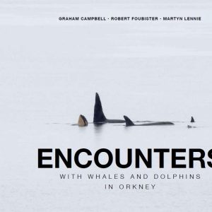 Encounters with Whales and Dolphins in Orkney