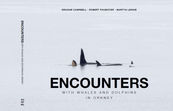 Encounters with Whales and Dolphins in Orkney