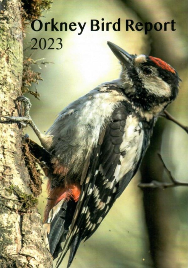 Orkney Bird Report 2023