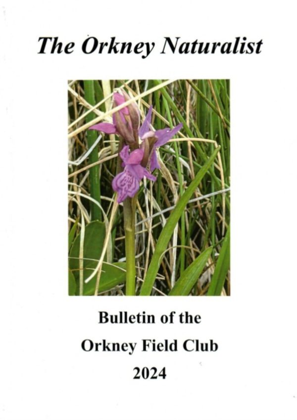 The Orkney Naturalist - 2024