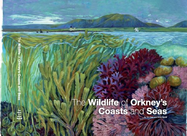 The Wildlife of Orkney's Coasts and Seas (UN-SIGNED PRE-ORDER)