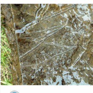 Orkney Archaeology Review 2025