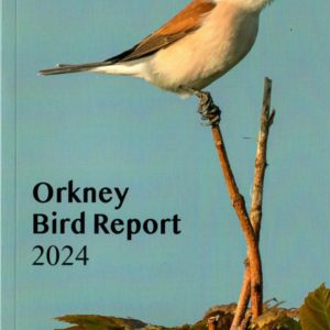 Orkney Bird Report 2024