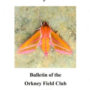 The Orkney Naturalist - 2025