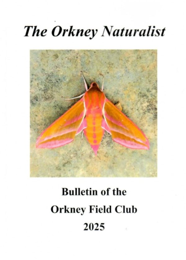 The Orkney Naturalist - 2025