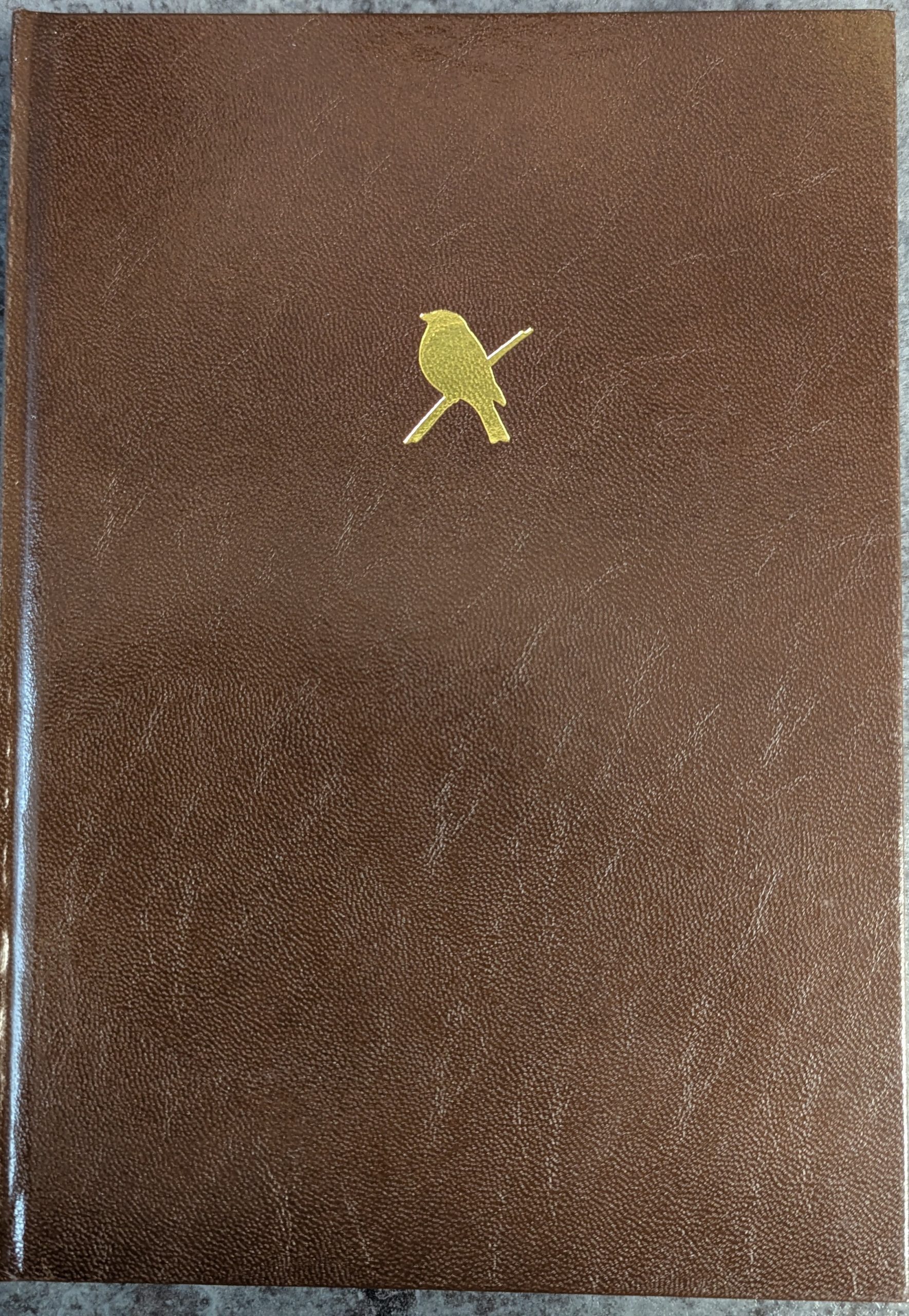 Stronsay's Garden Birds