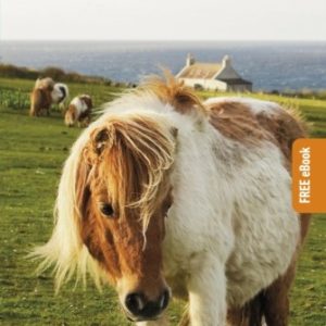 Rough Guides Pocket Shetland