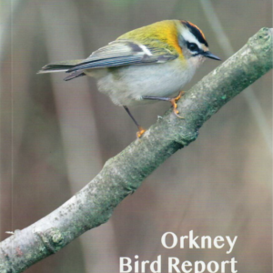 Orkney Bird Report 2025