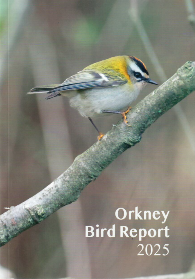 Orkney Bird Report 2025