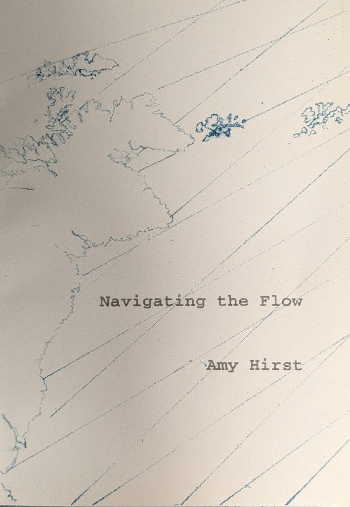 Navigating the Flow